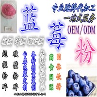 藍莓葉黃素酯片 藍莓粉 藍莓片 OEM貼牌代加工 廠家定制
