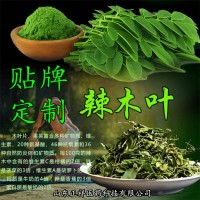 辣木葉片 辣木籽 辣木粉片 辣木超微粉 OEM貼牌 定制加工