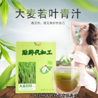 大麥若葉青汁粉 青汁酵素 大麥青汁 OEM貼牌 代加工定制