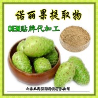 諾麗果酵素粉 諾麗果粉片 OEM貼牌 代加工 定制