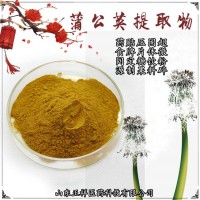 蒲公英超微粉 蒲公英提取物 低溫破壁 擠壓破壁 定制貼牌代工