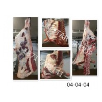 白俄04-04-04廠公牛四分體