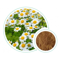 歐洲小白菊提取物