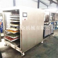 低溫真空凍干機(jī)火龍果玫瑰花果蔬脆凍干設(shè)備廠家供應(yīng)