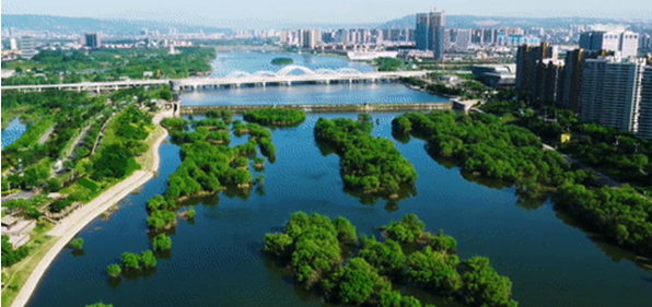 QQ截圖20210728161724