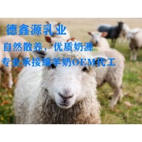 甘肅德鑫源乳業(yè)綿羊奶粉-綿羊奶粉廠家
