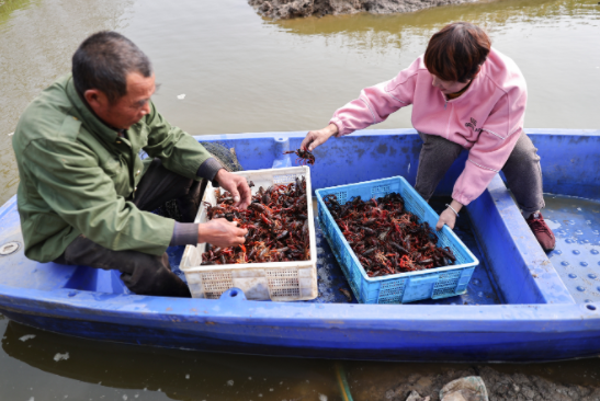 QQ截圖20211126163228