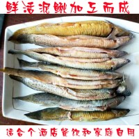 大型泥鰍深加工工廠鰍公子泥鰍系列產(chǎn)品去臟泥鰍去頭尾泥鰍去骨刺