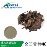 生地黃提取物