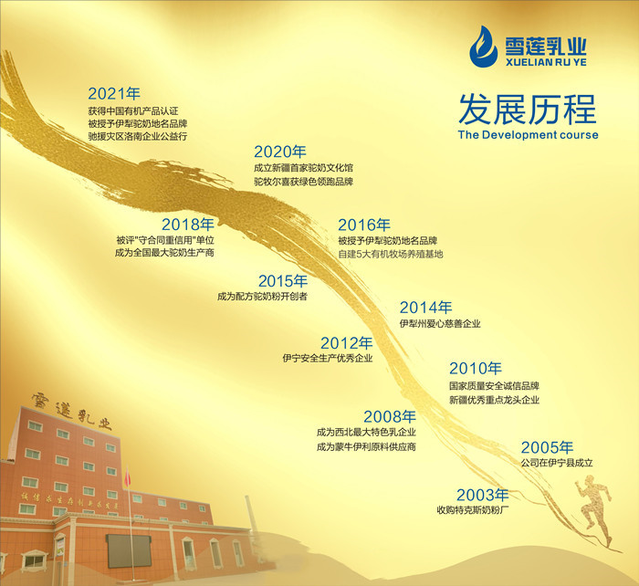 公司歷程