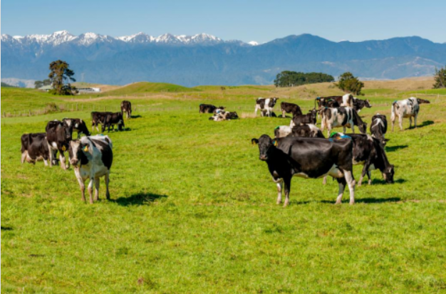 QQ截圖20220413165854