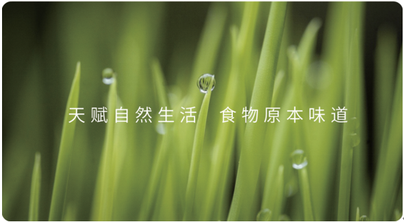 QQ截圖20220516175452