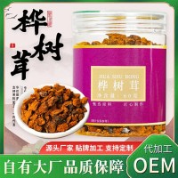 俄羅斯樺樹茸 進口野生樺樹茸茶 樺樹茸加工定制 樺樹茸片廠家