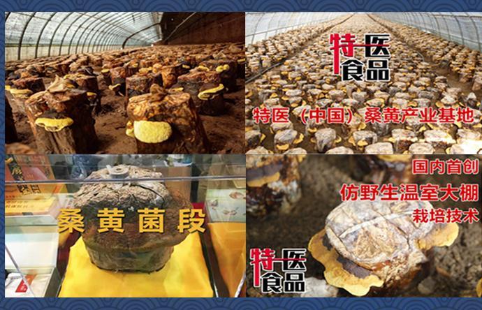 微信圖片_20211120165325.jpg