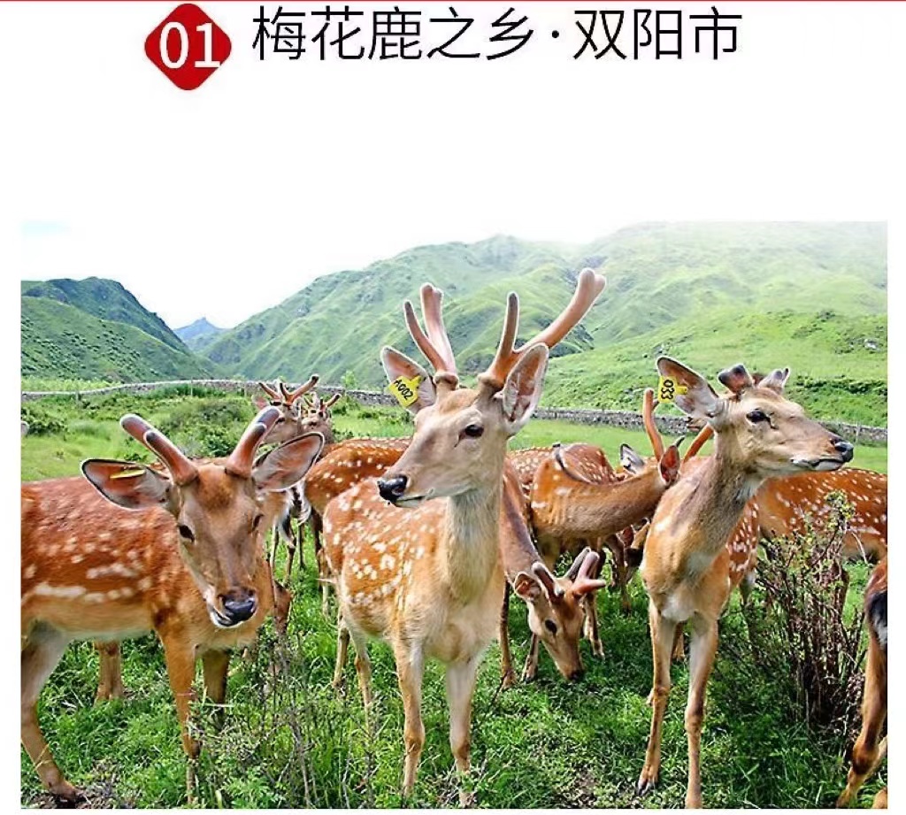 微信圖片_20220524155630.jpg