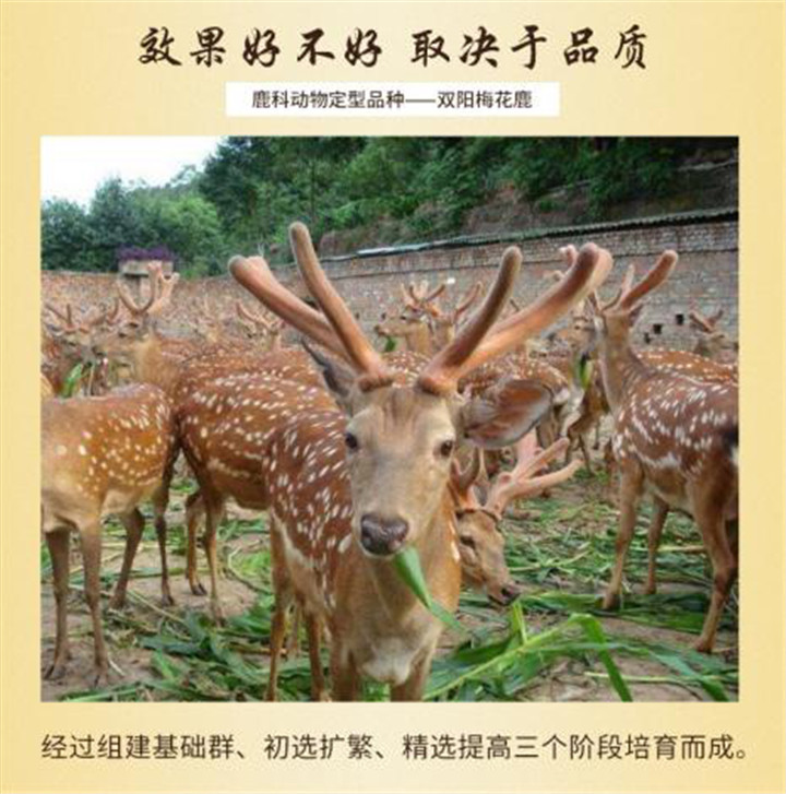 微信圖片_20220520135135.jpg