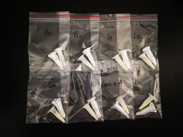 來思爾乳業(yè)“航天菌種”二飛沖天，開啟民族種源新未來