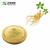 人參皂甙80%人參提取物人參總皂甙人參皂苷