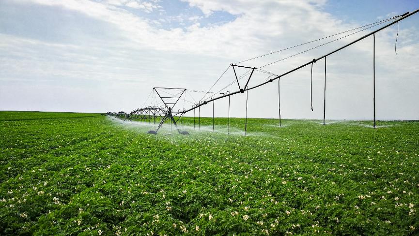 E:\PR事務(wù)\PR 19\3季度工作\農(nóng)場(chǎng)探訪(fǎng)\農(nóng)場(chǎng)照片\新聞稿配圖\噴灌1.jpeg