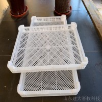 食品冷凍盤 白色塑料單凍器 肉串雞柳盤 瀝水烘干 廠家直供