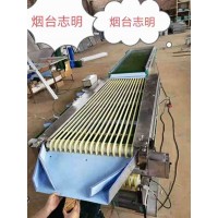 山東煙臺(tái)志明牌可調(diào)式紅棗分級(jí)機(jī)