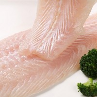 天津港進(jìn)口越南巴沙魚所需單證