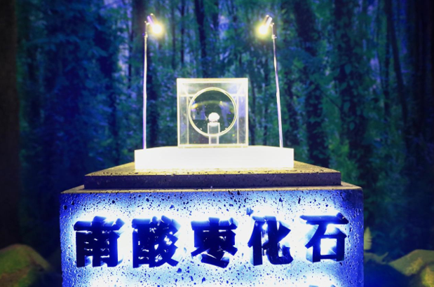 QQ截圖20221028150446