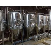 遼寧小型精釀啤酒設(shè)備供應(yīng)廠家日產(chǎn)2噸的啤酒設(shè)備飯店釀酒設(shè)備