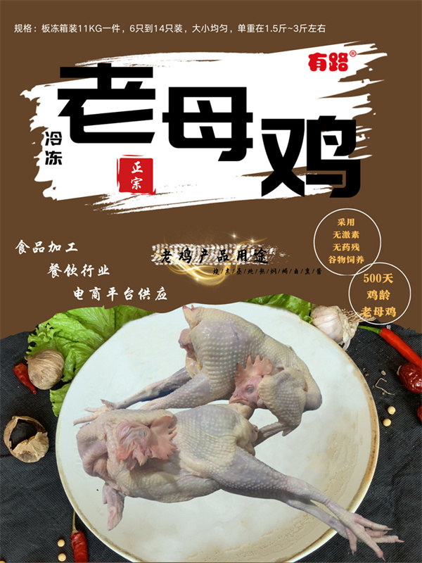 冷凍老母雞