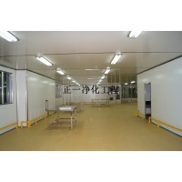 廣東食品無(wú)塵車間專業(yè)裝修公司 武漢食品凈化車間專業(yè)裝修公司