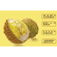進口水果報關報檢流程