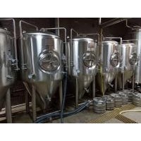杭州酒店小型自釀啤酒設備 500升啤酒發(fā)酵罐釀酒設備
