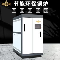 全預(yù)混低氮冷凝蒸汽發(fā)生器