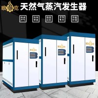 全預(yù)混低氮冷凝蒸汽發(fā)生器 蒸煮