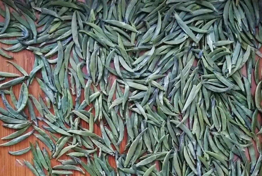 竹葉青 雀舌