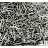 峨眉直條毛峰 雪芽 樂山一芽一葉直形茶 毛尖