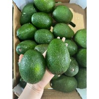 進(jìn)口牛油果所需單證和流程