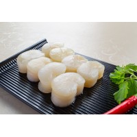 江珧貝柱 單凍帶子肉 江瑤貝海丞相宴席食材廣東帶子肉加工