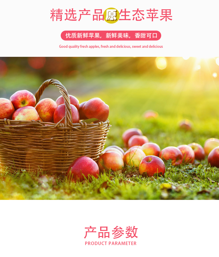 濃縮蘋果汁詳情頁_02