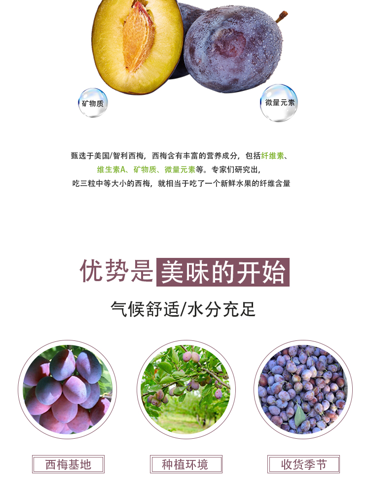 西梅濃縮汁詳情頁_04