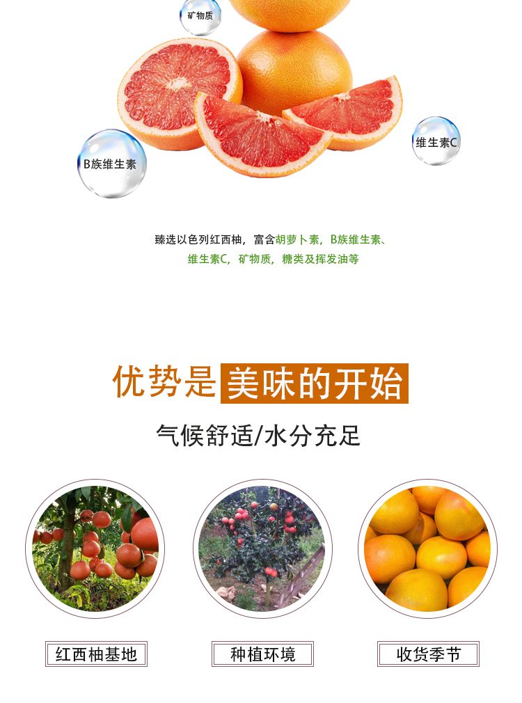 紅西柚濃縮汁詳情頁(yè)_04