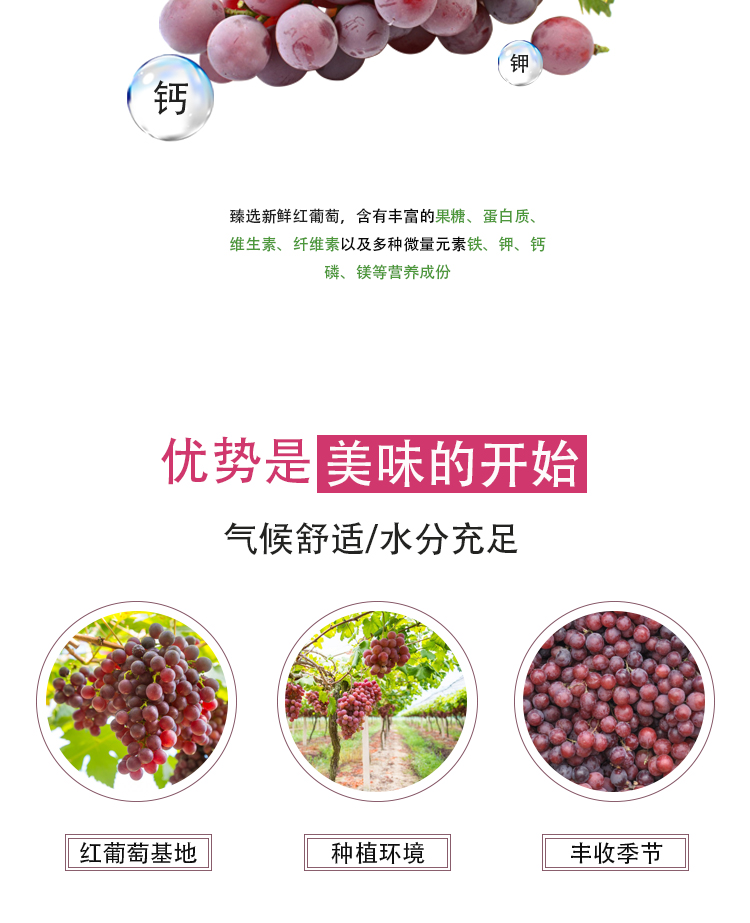 濃縮紅葡萄汁詳情頁(yè)_04