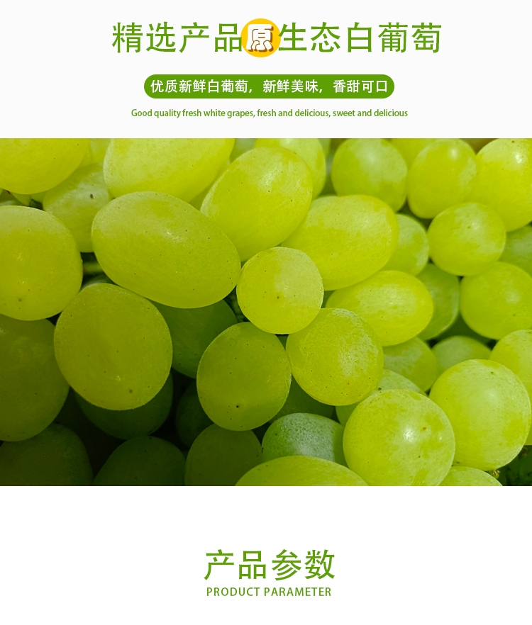 濃縮白葡萄（青提）詳情頁(yè)_02
