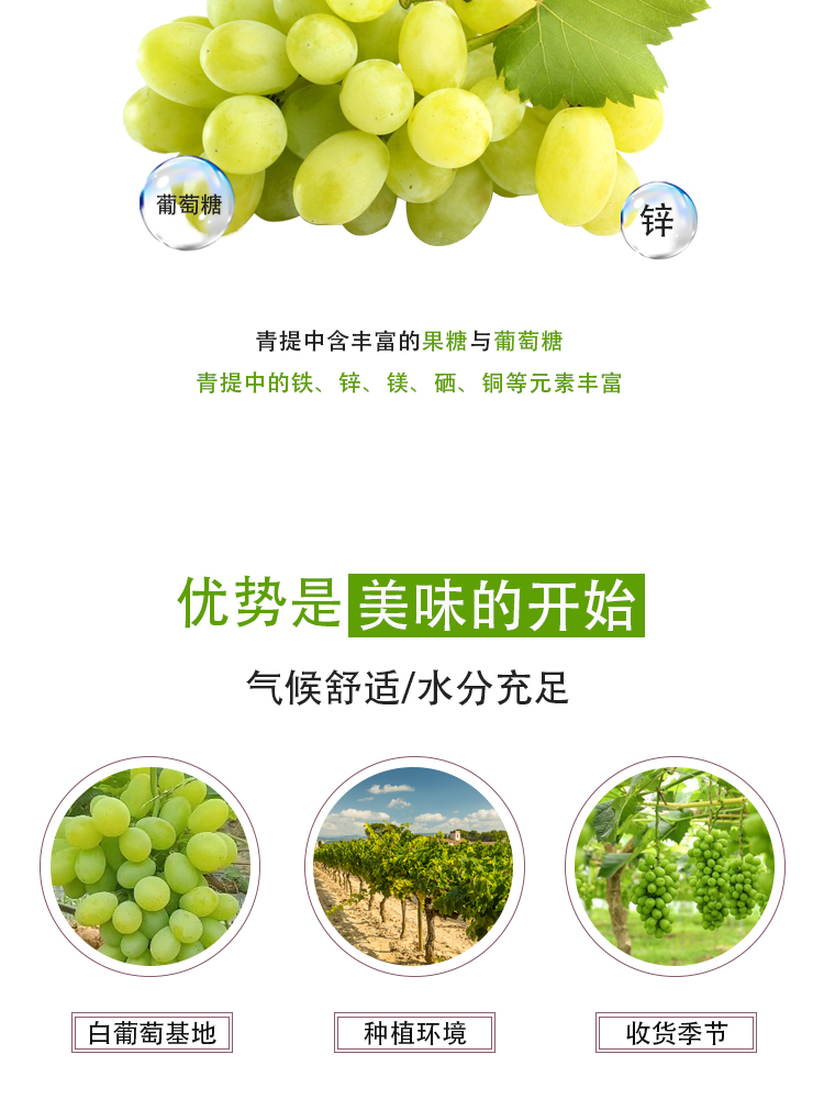 濃縮白葡萄（青提）詳情頁(yè)_04