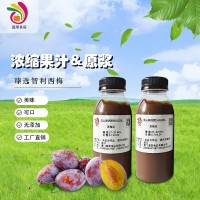 智利進口西梅泥工廠直供