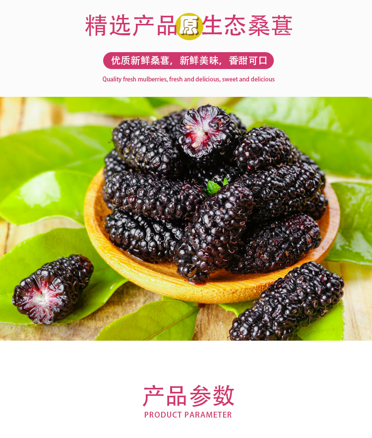 濃縮桑葚汁詳情頁(yè)_02