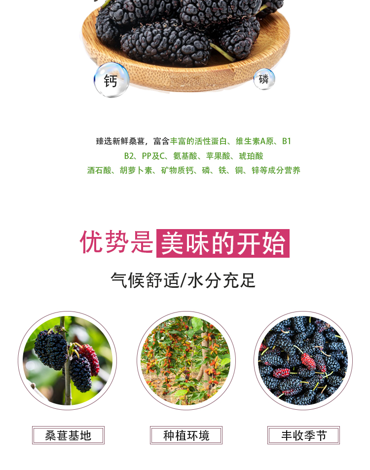 濃縮桑葚汁詳情頁(yè)_04