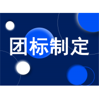 團標(biāo)制定代理服務(wù)