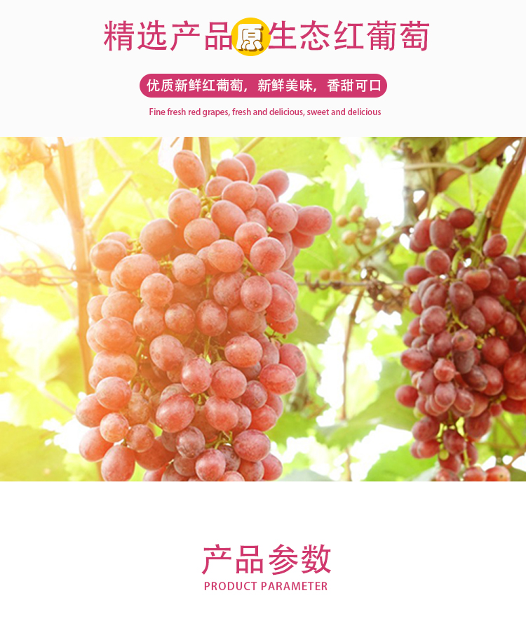 濃縮紅葡萄汁詳情頁_02