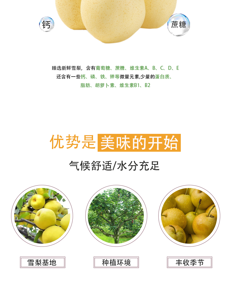 濃縮雪梨汁詳情頁(yè)_04